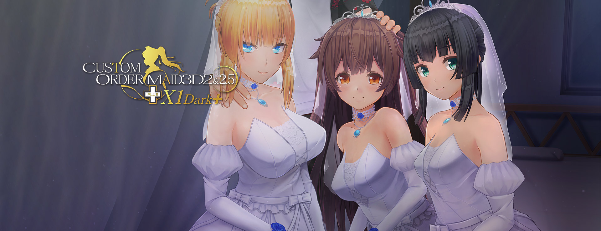 Custom Order Maid 3D2 & 2.5+ X1 Dark+ - シミュレーション ゲーム