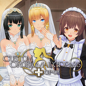 Custom Order Maid 3D2&2.5+ GP-03