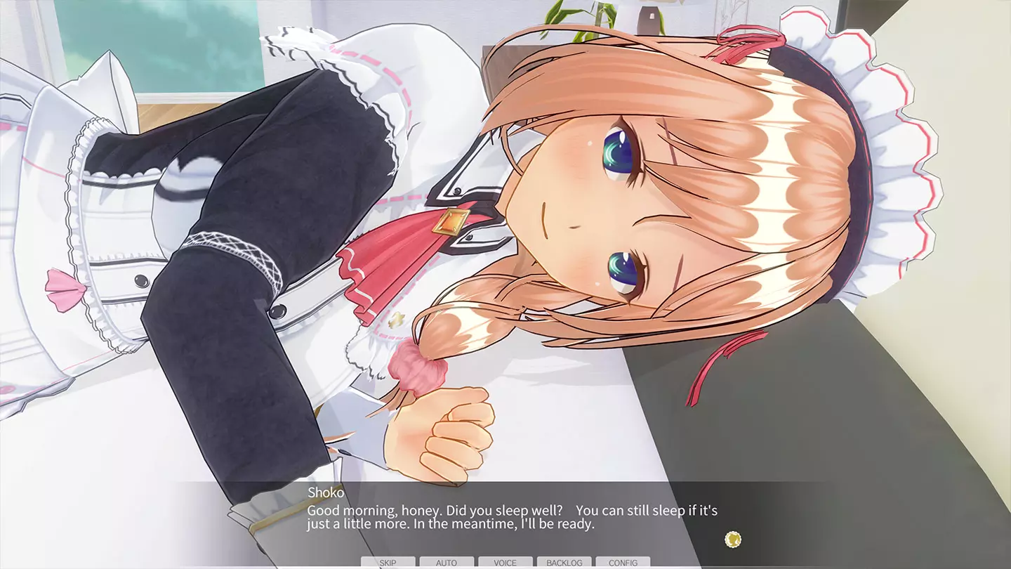 Custom Order Maid 3D 2: Sexy and Ladylike Woman Complete Bundle 5