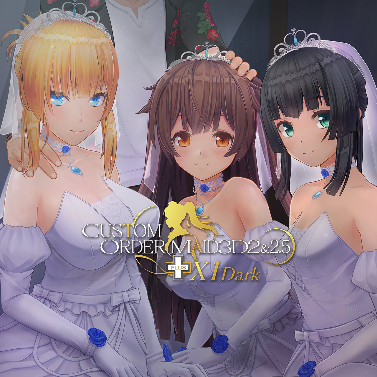 Custom Order Maid 3D2.5+X1 Dark - Adventure Sex Game | Nutaku