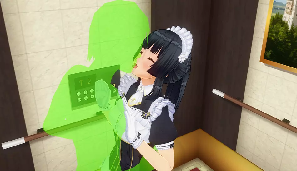 Custom Order Maid 3D2 Enjoy Empire Life GP-01 Bundle 5