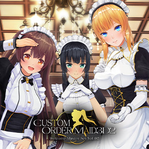 Custom Order Maid 3D2 Welcome Master Set Vol.02
