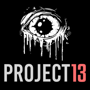 Project 13