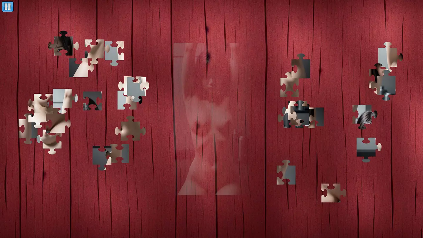 Puzzle Pleasure: Jigsaw 6