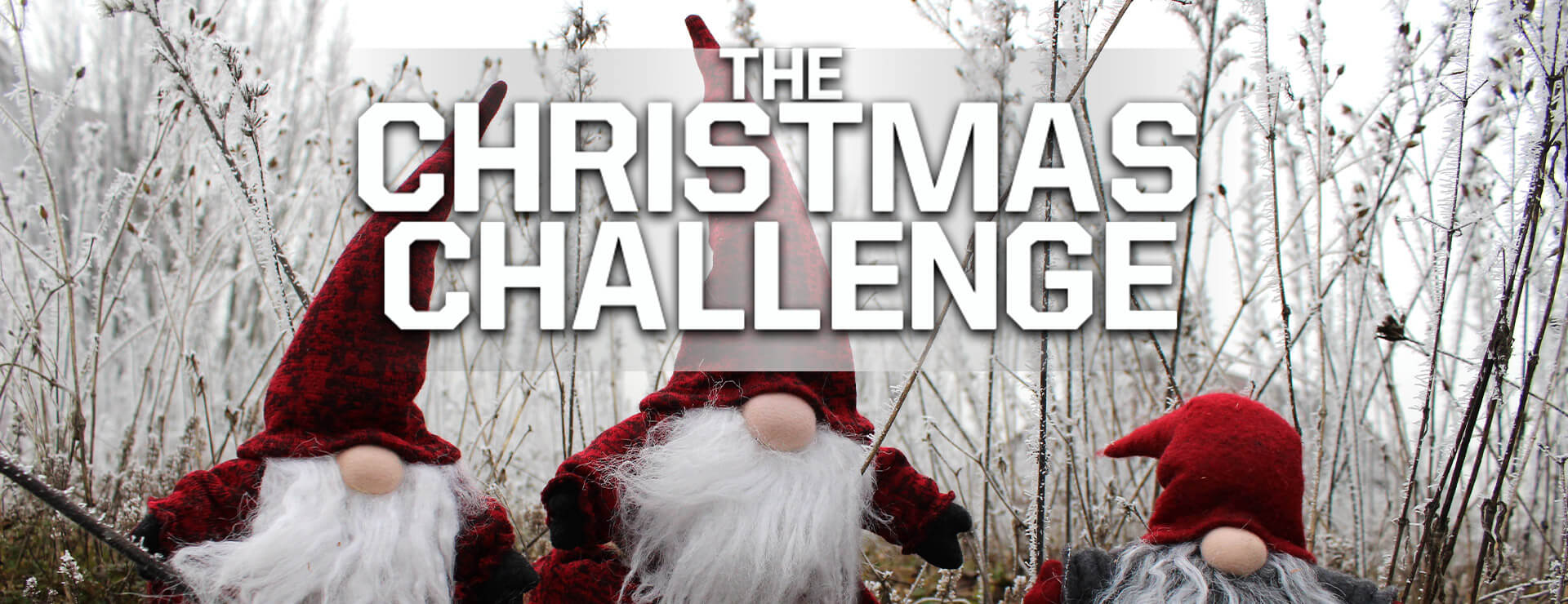 The Christmas Challenge - Puzzle Game